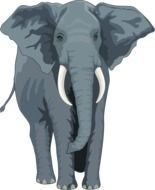 graphic image of a gray elephant