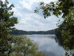 still lake at summer forest