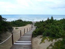 boardwalk among sand dunes on a beach in italy