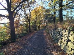 walkpath along stone wall at autumn park