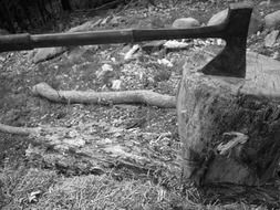 ax on a tree stump, monochrome scenery