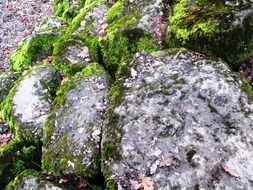 bemoost stones