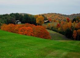 panorama of autumn nature in vermont