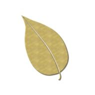 painted autumn leaf on a white background