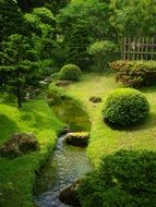beautiful garden green creek