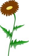 graphic image of brown daisy