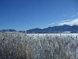 Alpine panorama in winter on a sunny day