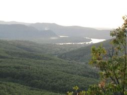 view from the observation tower to the Danube among the green forest