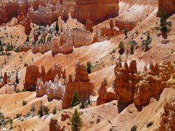 pyramids among the sand in Bryce Canyon