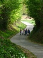 Children are doing hiking on the path among the colorful plants