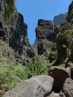 Gorge masca in tenerife