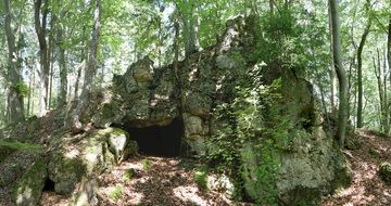 Grot in rock in forest