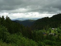 Black Forest in Germany