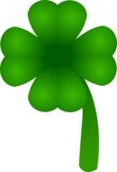 Picture of green clover plant