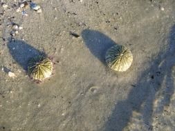 boulders on a sandy beach