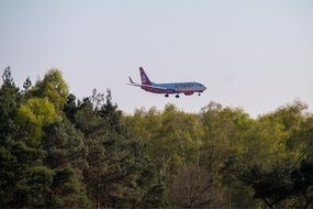 airliner over a green forest