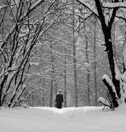 man in a snowy park