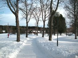 trail in the snow in the park