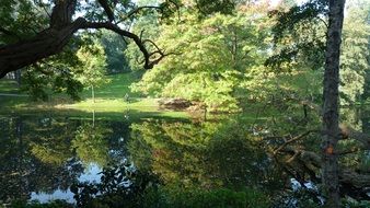 idyllic landscape in autumn