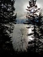 early morning on Canim lake