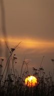 Sunrise in early morning