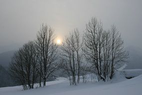 sunset in the snowy winter forest