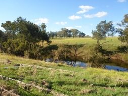 creek amongst the green shores in australia