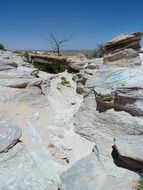 petrified forest national park Arizona