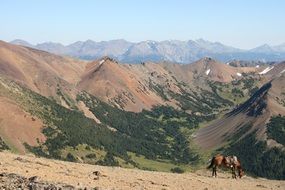 panorama of the region chilcotin