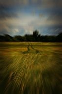 traces on field, blurred around