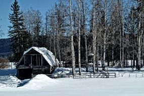 Farm shed in winter