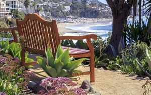 wooden bench on the tropical coast