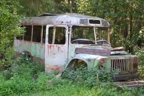 Abandoned rusty transport in the woods