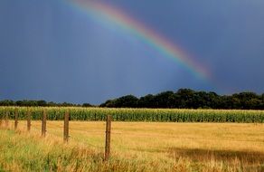 rainbow autumn