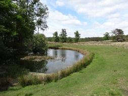 small pond in picturesque nature