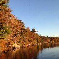 scenic colofrul forest on lakeshore at fall