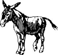 donkey as a graphic image