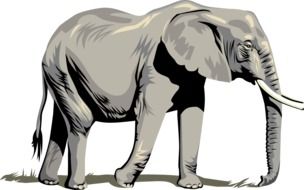 clipart of elephant animal