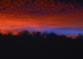 scarlet and blue clouds over the forest