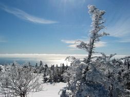 Acadia national park winterscape