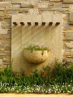 Garden plants near the wall