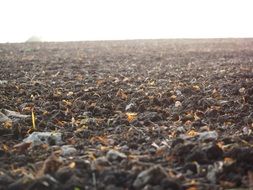 Landscape of arable land