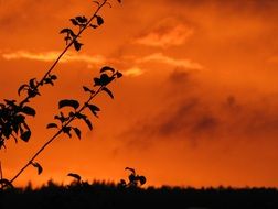 orange sunset afterglow scenery