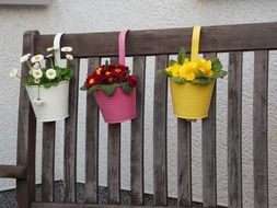 colorful flower pots on a wooden bench