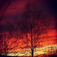 dramatic red evening sky