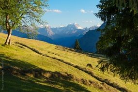 green slope of Mount Todi in Switzerland