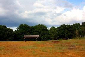 bench on an autumn hill against a green forest