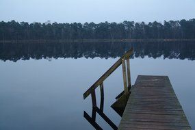 splendiferous lake web