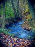 Romantic atmosphere in autumnal forest