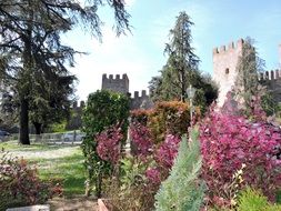 colorful plants in the garden in front of the castle in Italy